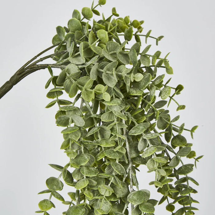 Eucalyptus Hanging Bush Green 81cm – Pack of 12