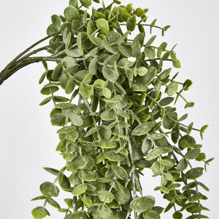 Eucalyptus Hanging Bush Green 81cm – Pack of 12