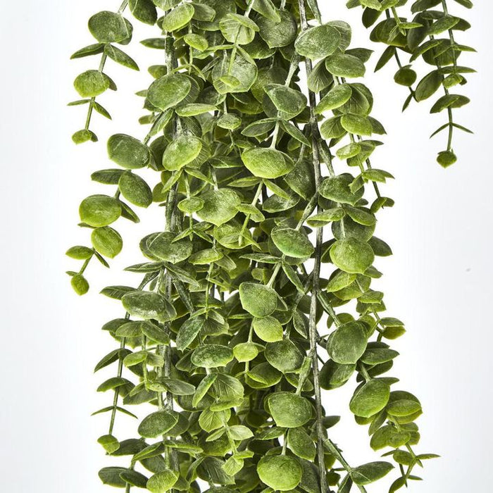 Eucalyptus Hanging Bush Green 81cm – Pack of 12