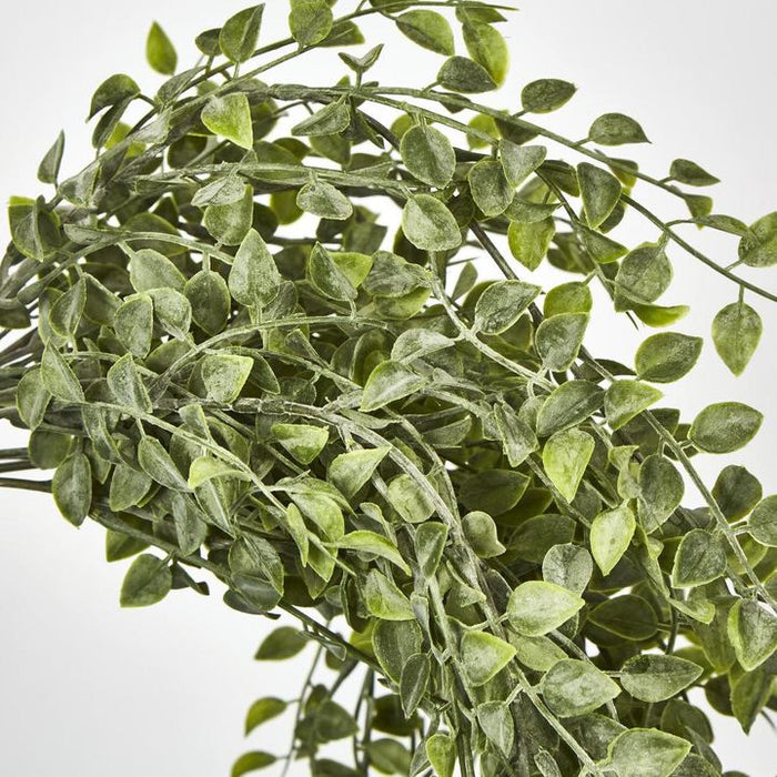 Hanging Boxwood Bush Green 25cm – Pack of 12