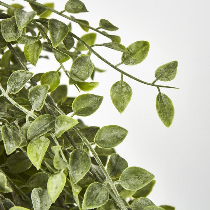 Hanging Boxwood Bush Green 25cm – Pack of 12