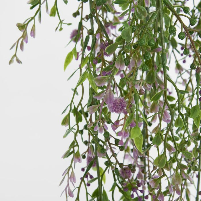 Boxwood Hanging Vine with Purple Berries Green 85cm – Pack of 12