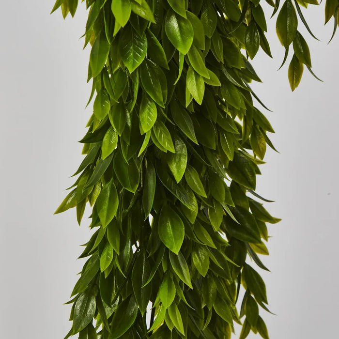 Hanging Ruscus Plant Green 56cm - Pack of 12