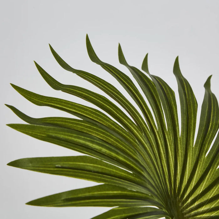 Fountain Palm In Pot Green 45cm – Pack Of 4