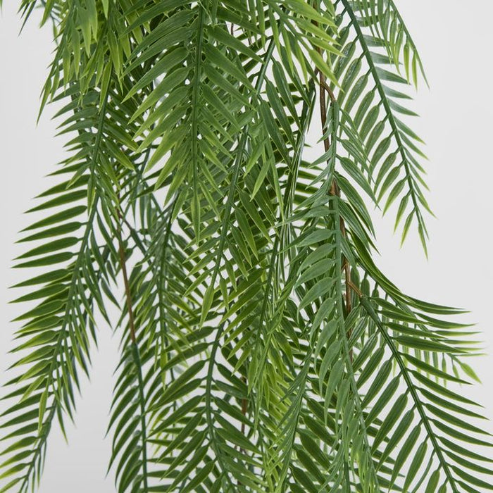 Hanging Pitch Pine Bush Green 25cm – Pack of 6