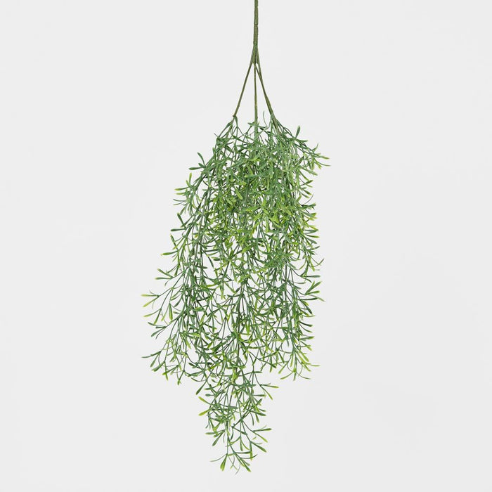 Springeri Vine Green 66cm – Pack Of 12