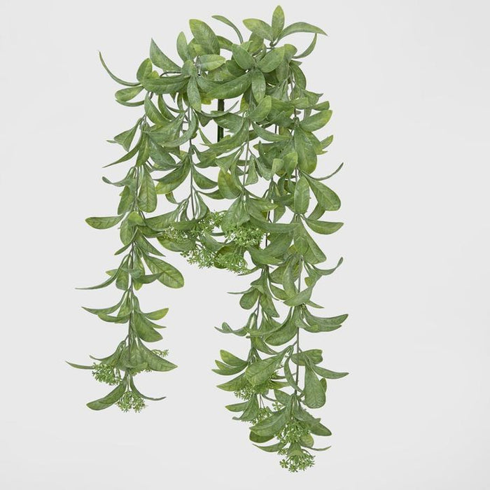 Osmanthus Hanging Bush with White Flower Green 25cm – Pack Of 6
