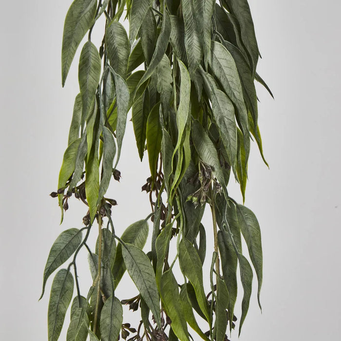 Hanging Eucalyptus Bush with Seeds Green 30cm – Pack of 12