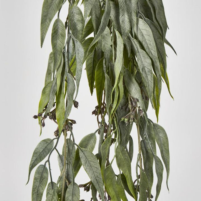 Hanging Eucalyptus Bush with Seeds Green 30cm – Pack of 12