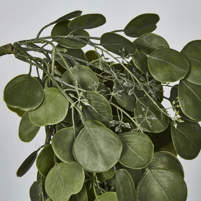 Hanging Green Eucalyptus Leaf Bush Green 71cm – Pack Of 6