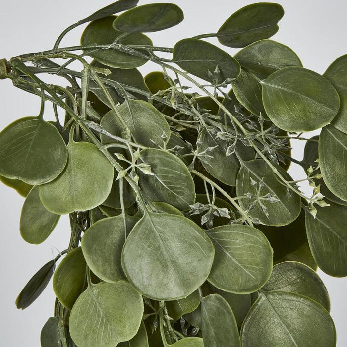Hanging Green Eucalyptus Leaf Bush Green 71cm – Pack Of 6