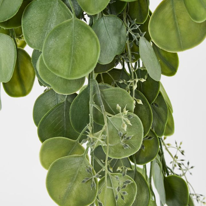 Hanging Green Eucalyptus Leaf Bush Green 71cm – Pack Of 6