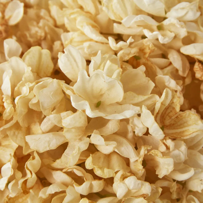 Dried Cream Hydrangea Cream 30cm – Pack of 4