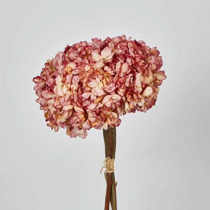 Dried Cream Hydrangea Pink 30cm – Pack of 4