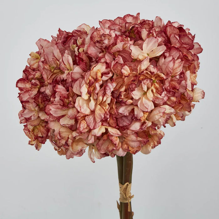 Dried Cream Hydrangea Pink 30cm – Pack of 4