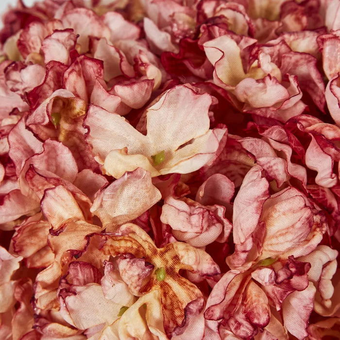 Dried Cream Hydrangea Pink 30cm – Pack of 4