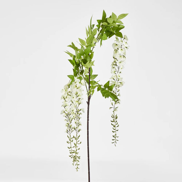 Wisteria Branch White – Pack of 6