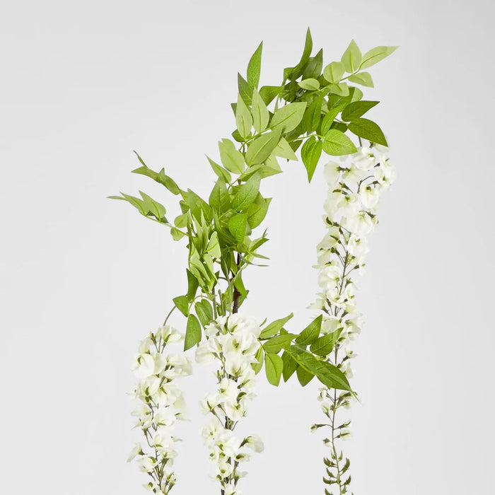 Wisteria Branch White – Pack of 6