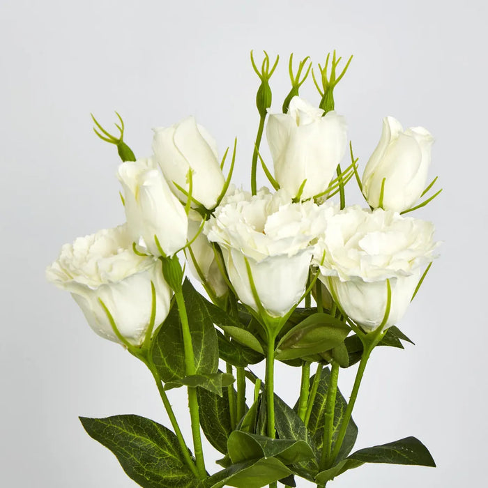 Lisianthus Flower And Bud White – Pack Of 24