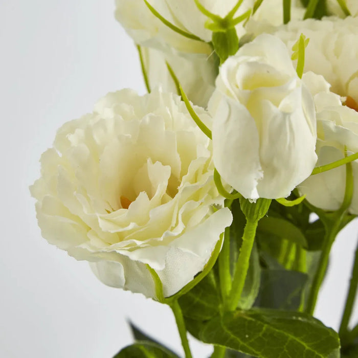 Lisianthus Flower And Bud White – Pack Of 24