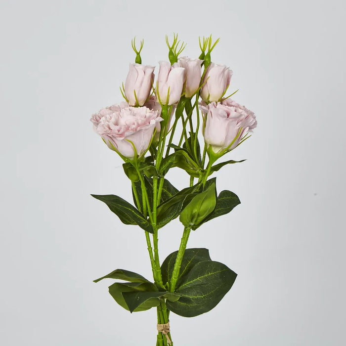 Lisianthus Flower And Bud Light Pink – Pack Of 24