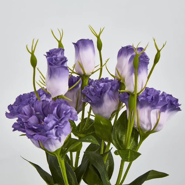 Lisianthus Flower And Bud Purple – Pack Of 24