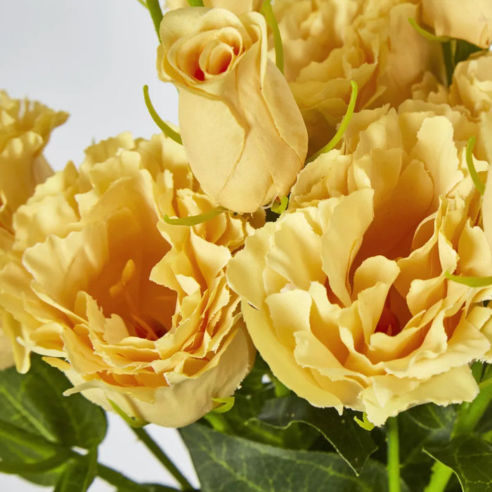 Lisianthus Flower And Bud Yellow – Pack Of 24