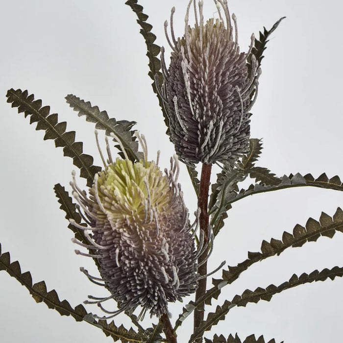 Banksia Spray Dark Purple – Pack of 12