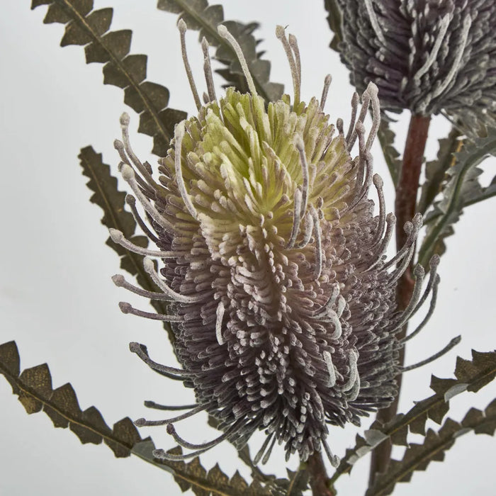 Banksia Spray Dark Purple – Pack of 12