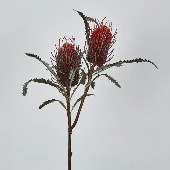 Banksia Spray Red – Pack of 12