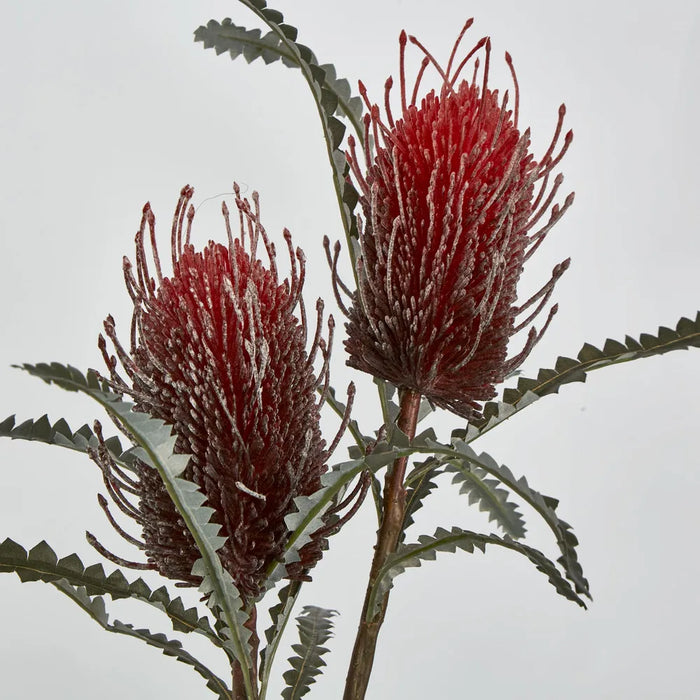 Banksia Spray Red – Pack of 12