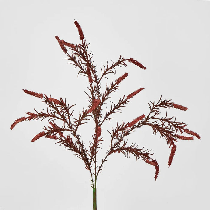 Amaranthus Spray Dark Pink – Pack of 6