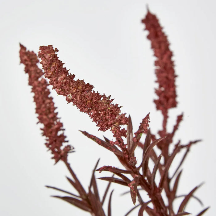 Amaranthus Spray Dark Pink – Pack of 6