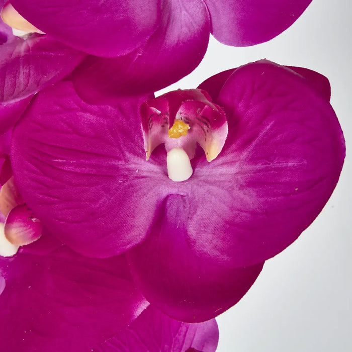 Phalaenopsis Orchid 7 Flowers One Bud Hot Pink 100cm – Pack Of 12