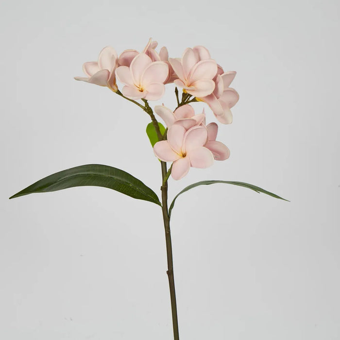 Plumeria Spray Pink 46cm - Pack of 12