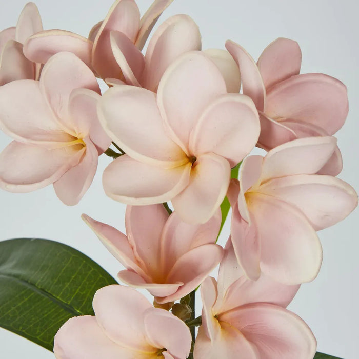 Plumeria Spray Pink 46cm - Pack of 12