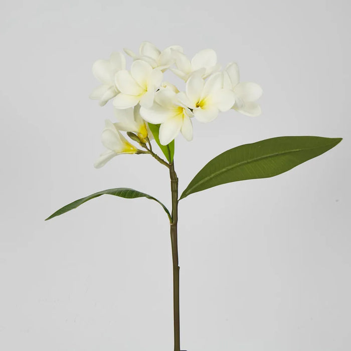 Plumeria Spray White 46cm - Pack of 12