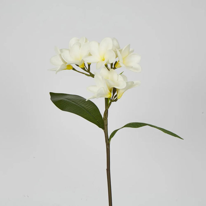 Plumeria Spray White 46cm - Pack of 12