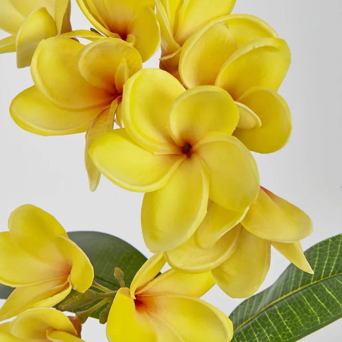 Plumeria Spray Yellow 46cm - Pack of 12