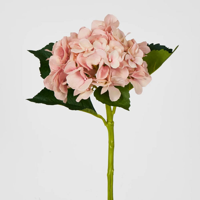 Hydrangea Soft Pink 49cm – Pack of 12