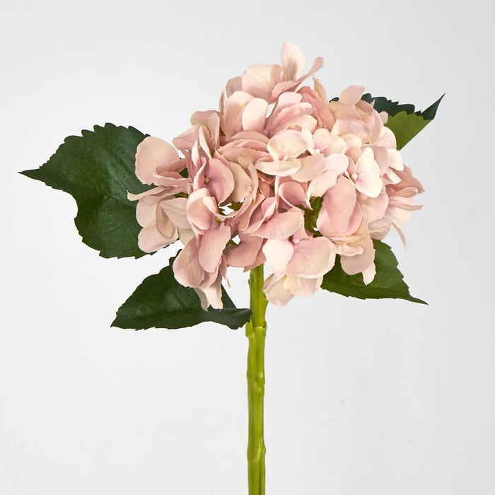 Hydrangea Soft Pink 49cm – Pack of 12