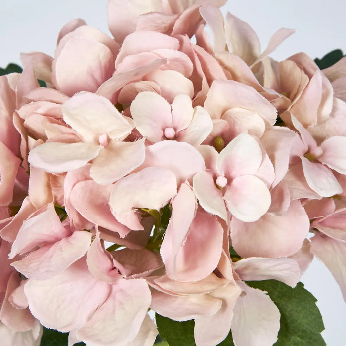 Hydrangea Soft Pink 49cm – Pack of 12