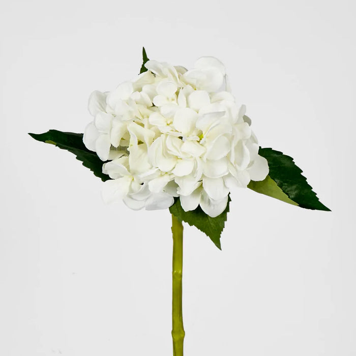 Hydrangea White 49cm – Pack of 12