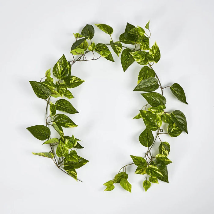 Pothos Garland Yellow 152cm – Pack Of 6