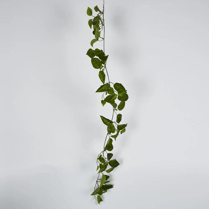 Pothos Garland Green 152cm – Pack Of 6