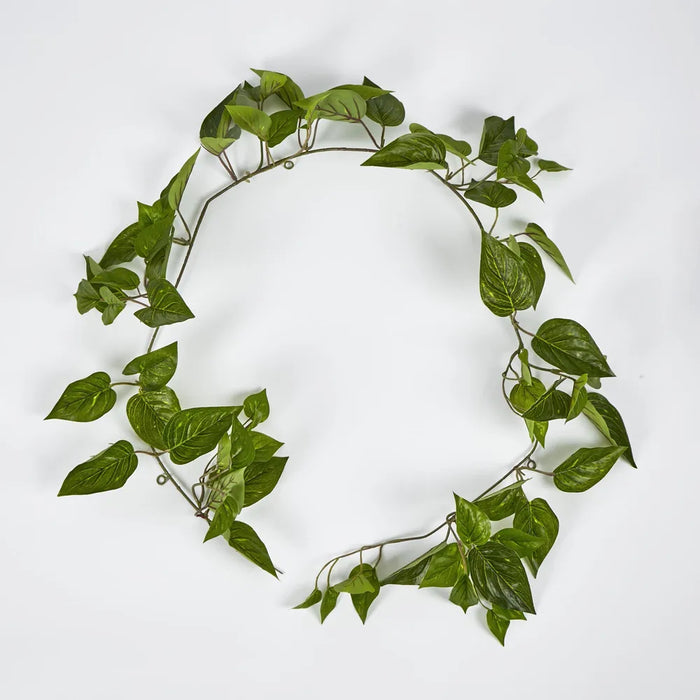 Pothos Garland Green 152cm – Pack Of 6