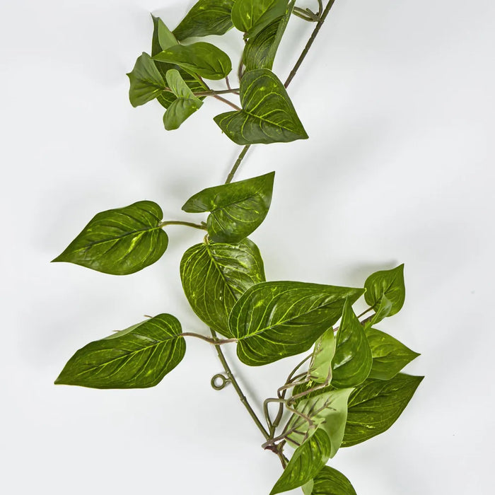 Pothos Garland Green 152cm – Pack Of 6