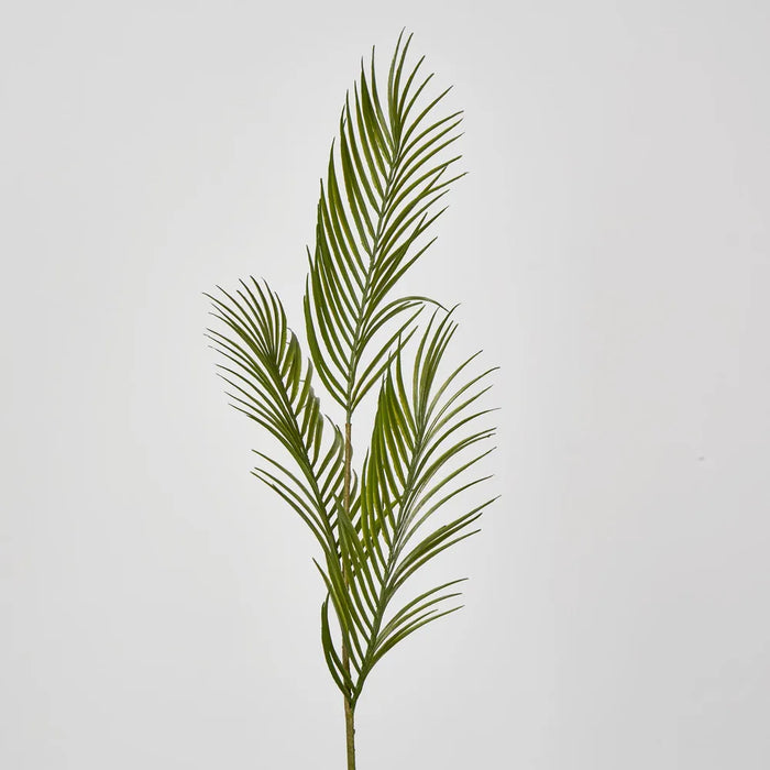 Green Arca Palm Green 30cm - Pack of 12