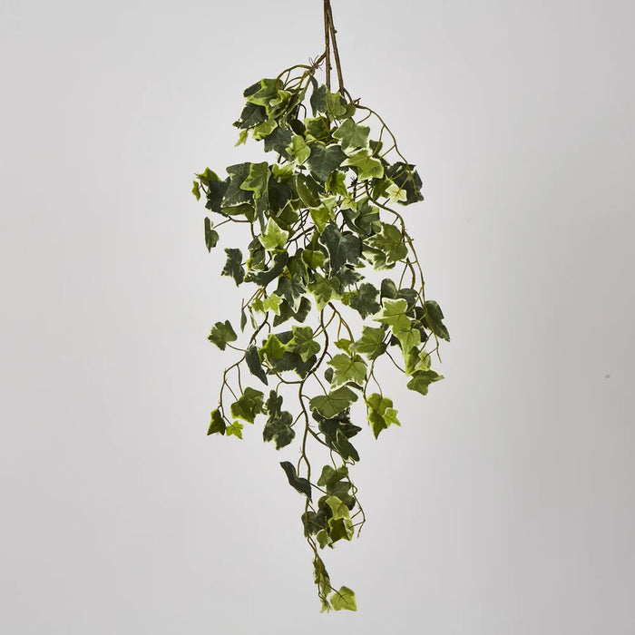 Ivy Spray with Variegated Leaves Green 30cm – Pack of 6