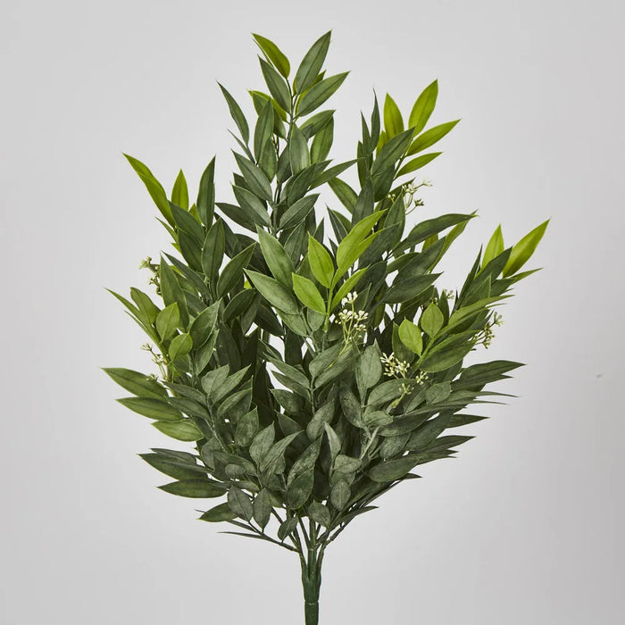 Ruscus Bush Green 25cm – Pack Of 12